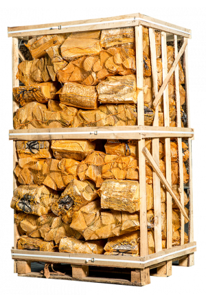 Legno di betulla, 80 sacchetti – 25 cm – 100% asciutto